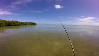 Hickam Flats Oahu [upl. by Bale967]