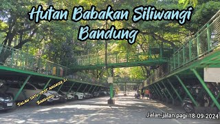 Hutan Babakan Siliwangi ini adalah quotparuparunyaquot kota Bandung [upl. by Pelaga402]