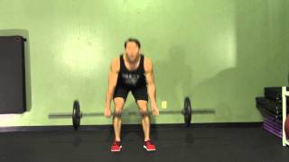 Barbell Conventional Deadlift  HASfit Dead Lift Exercise  Proper Deadlift Form [upl. by Harsho104]