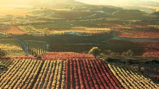 video tesi  Il Cammino di Santiago de Compostela [upl. by Anna]