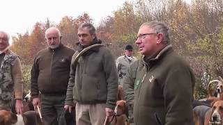 chasse au sanglier à lAbbaye du Val des Choues [upl. by Winifield]