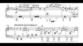 Mahler  5th Symphony piano solo [upl. by Brott]