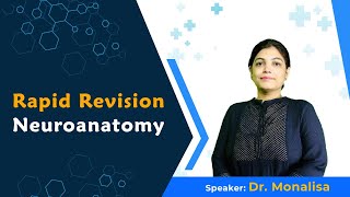 Rapid Revision  Neuroanatomy By Dr Monalisa [upl. by Ertemed]