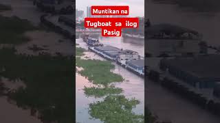 Tugboat Sa ilog Pasig song shortvideo short viralshorts Tugboat Pasigrivershorts [upl. by Welford751]