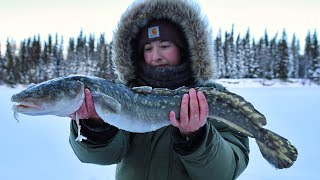 Burbot or Bust  Set Lines on the Frozen River [upl. by Rana]