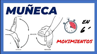 🥇 MOVIMIENTOS articulares DE LA MUÑECA suuuper FÁCIL  Biomecánica  Anatomía Radiocarpiana [upl. by Gristede]