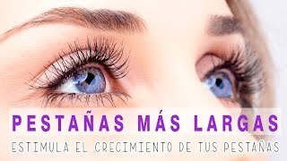 Crecimiento de pestañas en 4 semanas  Evo EyeLash  Evo Beauté España [upl. by Beaver]