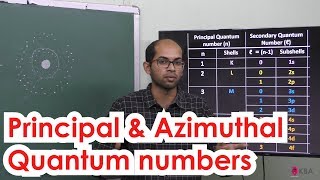 7Chemistry  Quantum mechanical model of atom  Principal amp azimuthal quantum numbers [upl. by Donata]