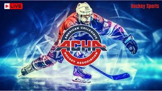 Maryville University vs Liberty University  ACHA Mens Ice Hockey 2024 [upl. by Ttelracs]