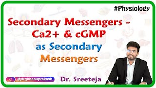 Secondary Messengers  Ca2 and cGMP as secondary messengers [upl. by Xyla708]