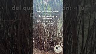 TU DIOS REINA [upl. by Aed]