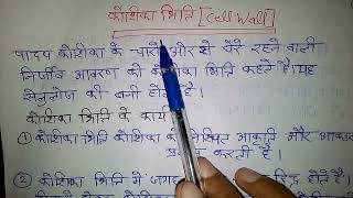 कोशिका भित्ति किसे कहते हैं। कोशिका भित्ति का परिभाषा। koshika bhitti Kise Kahate H koshikabhitti [upl. by Sib756]