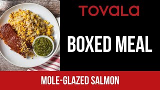 Tovala Meal  MoleGlazed Salmon [upl. by Erminna]