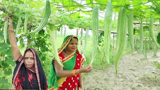 चिचिंडा की सब्जी बनाने की बिधि Chichinda ki sabji  Snake Gourd Recipe [upl. by Devad872]