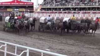 Calgary Stampede Chuckwagon Races Heat 7 [upl. by Lilas]