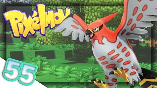 How to Train your Talonflame  Pixelmon Pokecentral  Episode 55 [upl. by Nettie810]