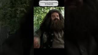 Hagrid was a Voldemort Secret Death Eater in Hindi harrypotter voldemort harrypottertheory [upl. by Uhej]