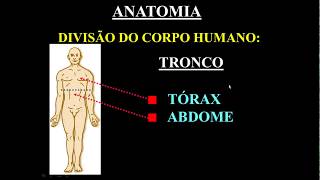 Anatomia aula 01 uma introdução [upl. by Trawets291]