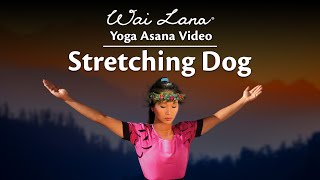 Wai Lana Yoga Stretching Dog [upl. by Ariella]