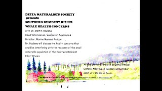 20241001 Southern Resident Killer Whale Health Concerns by Dr Martin Haulena [upl. by Addis154]