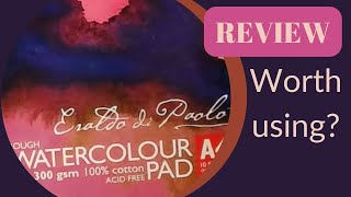 Watercolour paper review  Eraldo di Paolo 300 gsm rough PROS amp CONS [upl. by Shiroma600]