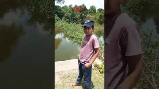 Fish fishponds fishing song [upl. by Ierdna]