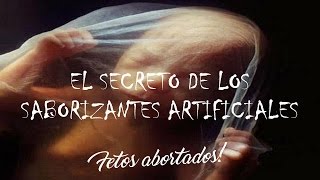 El Secreto De Los Saborizantes Artificiales [upl. by Berns44]