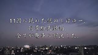 東海オンエア限定公開された動画『免許はどこにアリますか？〜交錯する謎と馬鹿の末路〜』 [upl. by Allesig]