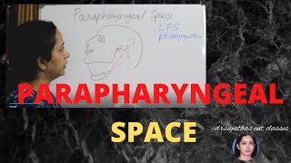 170Parapharyngeal space Anatomy Parapharyngeal space anatomylectures [upl. by Sharity]