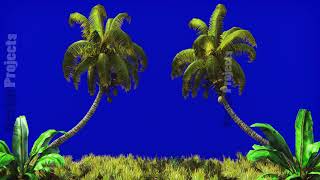 The branches of palm tree and Tropical plant in the wind on blue screen Beautiful summer looped [upl. by Norford]