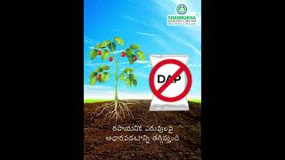 విరాట్ ప్రోం గోల్డ్ farming agriculture [upl. by Caleb]