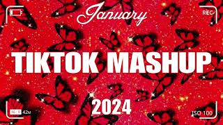 TikTok Mashup January 2024 💃💃Not Clean💃💃 [upl. by Claud]