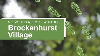 New Forest walks Brockenhurst village [upl. by Hedve324]