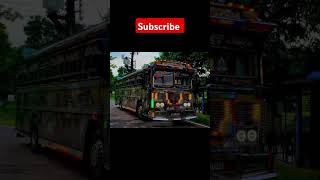 අම්මෝ ඉතින් 😱 automobile 1millon bus trending slbus slbusfans srilanka subscribe [upl. by Ottie]