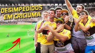 DESIMPEDIDOS EM CRICIÚMA [upl. by Ximena694]