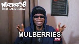 Macka Bs Medical Monday Mulberries [upl. by Olzsal]