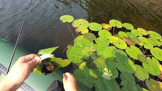 This fish gave me no choice Fishing in Harriman State Park on Lake Sebago [upl. by Eterg]