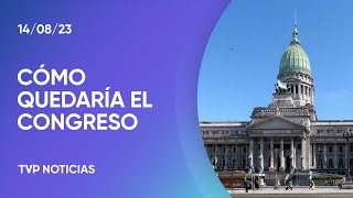 Cómo quedaría conformado el Congreso Nacional con el resultado de las PASO [upl. by Crary65]