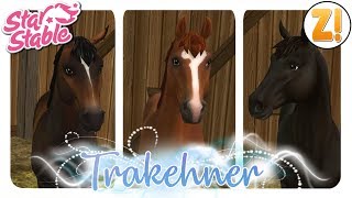 Star Stable SSO 3 neue Trakehner Farben PFERDEKAUF DEUTSCH [upl. by Ahsiaa]