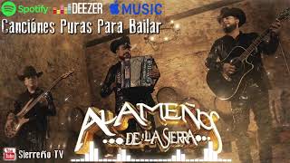 Los Alameños De La Sierra Mix 2024 Lo Más Chingon  Puros Huapangos  Puras Cumbias Para Bailar [upl. by Akinuahs]