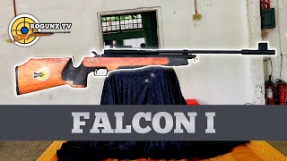 ANG AIRGUN NA MAY PINAGMULAN KAYA ITO GINAWA  ROGUNZ FALCON 1 [upl. by Navetse]