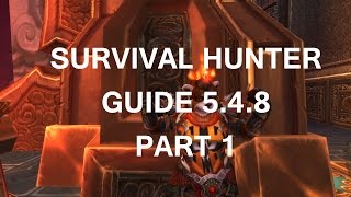 World of Wacraft MoP Survival Hunter Guide 548  Part 1 [upl. by Sander]