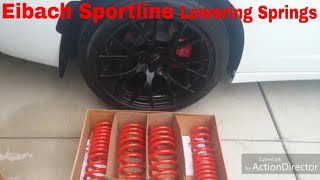 Getting The Eibach Lowering Springs Put On The Charger RT Part 1 [upl. by Alain]