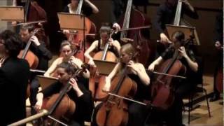 Brahms Symphony no4 movement 3 [upl. by Eneloj927]