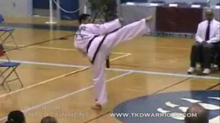 ITF Taekwondo  True Warrio PresentsPatterns Highlights  20023 [upl. by Franckot]