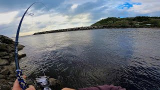 You WIN some You LOSE More  Mulloway Fishing  NSW North Coast [upl. by Sivlek179]