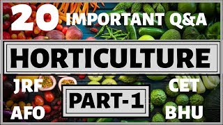 ICAR JRF HORTICULTURE QUESTIONS  PART 1 AGRICARE AS FOR JRF AFO IGKVCET  BHUPET [upl. by Trager578]