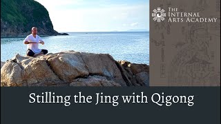 Guided Qigong for the Jing 精 [upl. by Mendelson490]