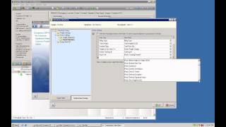 Shipping Software How To Customize StarShips Interface Using ERP Data [upl. by Michon893]