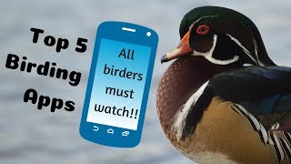 Top 5 Bird Watching Apps [upl. by Aztilem]